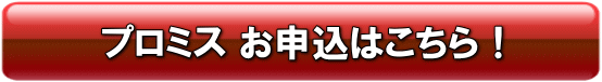 仮審査が出来るカードローン